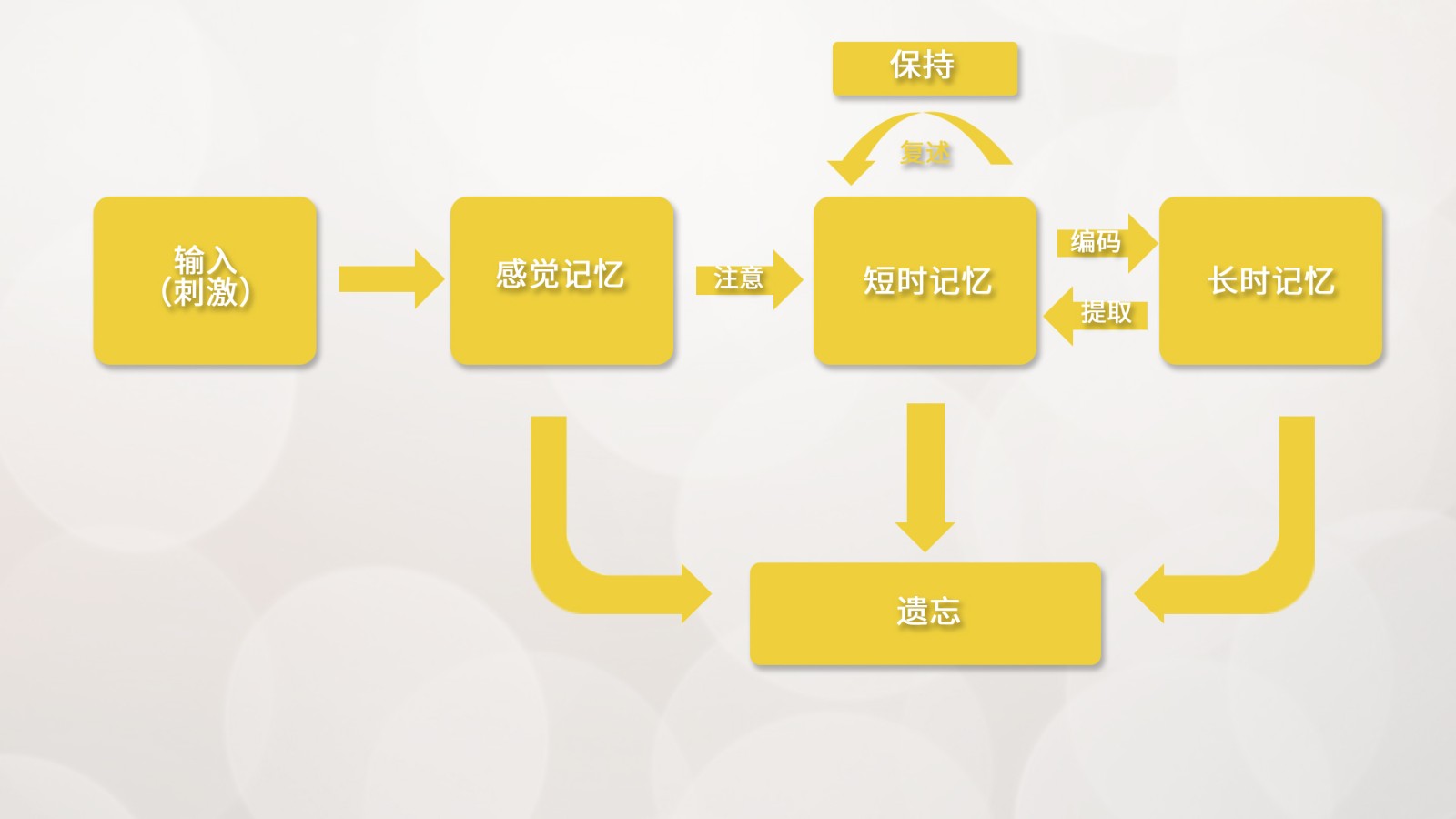 眼動(dòng)儀在學(xué)習(xí)與記憶研究領(lǐng)域的應(yīng)用